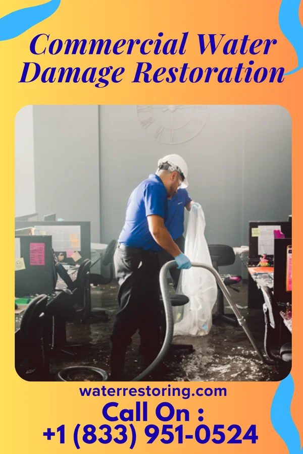 Commercial Water Damage Restoration in Pine Village, IN