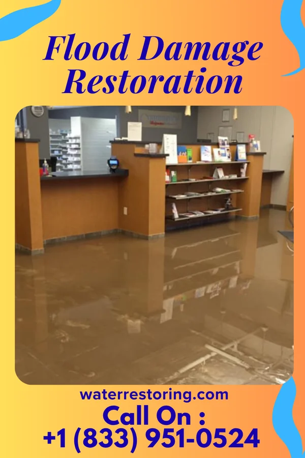 Flood Damage Restoration in Pine Village, IN